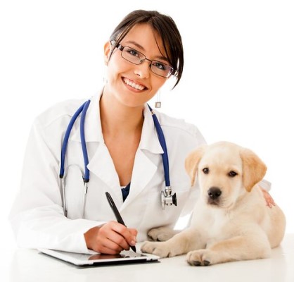 Doctor with Dog